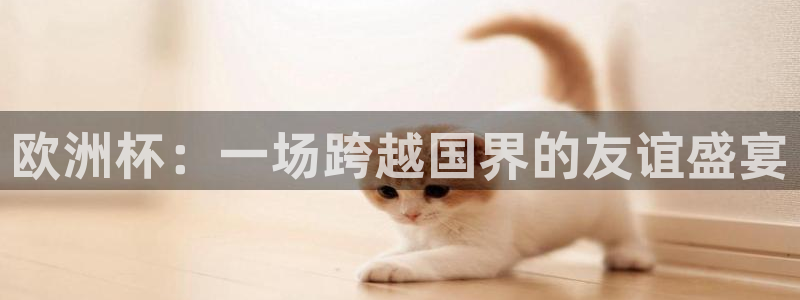 今年的世界杯：欧洲杯：一场跨越国界的友谊盛宴