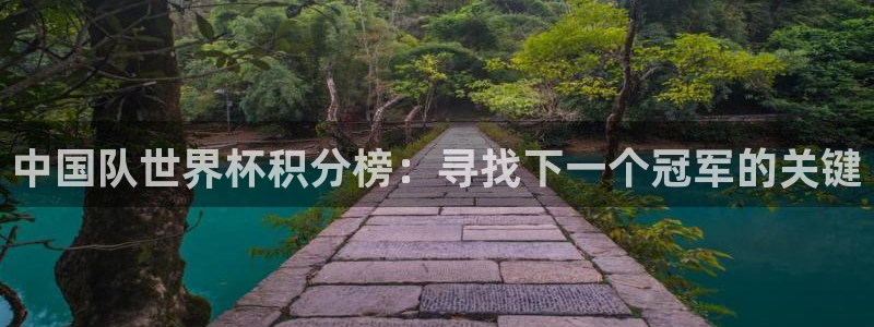 世界杯：中国队世界杯积分榜：寻找下一个冠军的关键