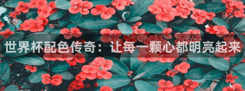 法国杯2026赛程表：世界杯配色传奇：让每一颗心都明亮起来