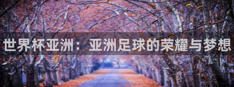 2026世界杯赛：世界杯亚洲：亚洲足球的荣耀与梦想