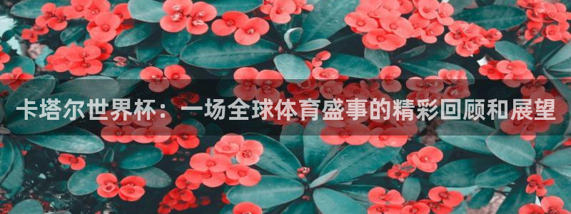 欧联杯直播：卡塔尔世界杯：一场全球体育盛事的精彩回顾和展望