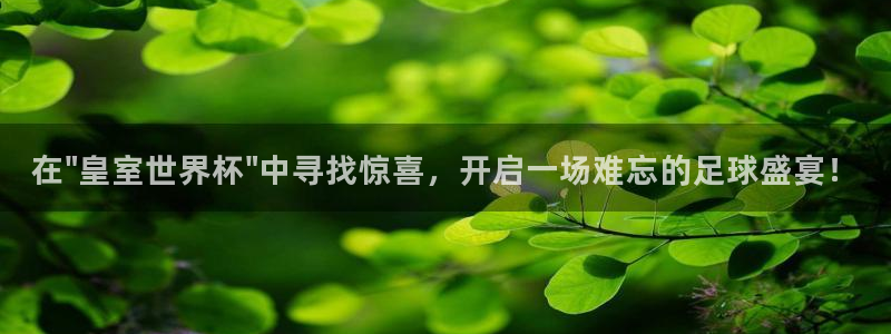 2026世界杯对阵图：在\