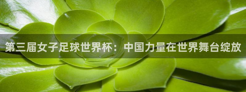 2026年世界杯：第三届女子足球世界杯：中国力量在世界舞台绽放