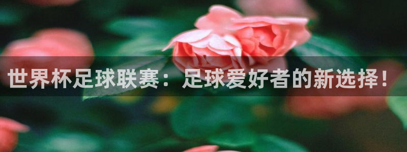 英格兰联赛杯直播：世界杯足球联赛：足球爱好者的新选择！