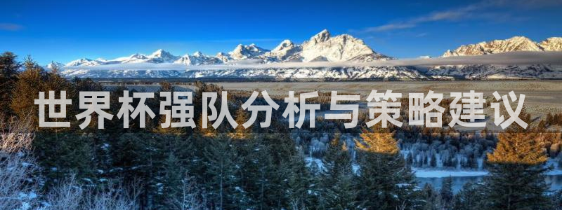 世界杯直播时间：世界杯强队分析与策略建议