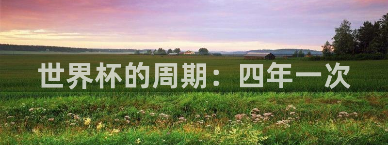 看世界杯：世界杯的周期：四年一次