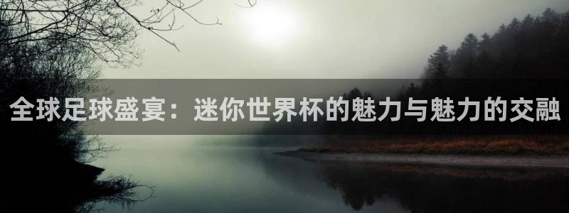 足球比分直播世界杯：全球足球盛宴：迷你世界杯的魅力与魅力的交融