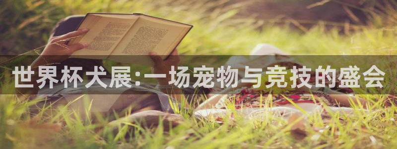 足球世界杯赛程：世界杯犬展:一场宠物与竞技的盛会