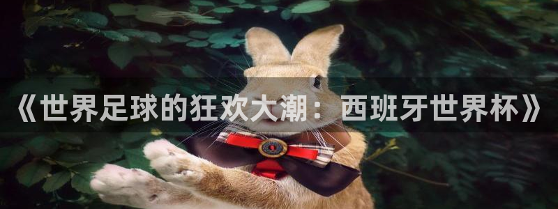 西超杯直播：《世界足球的狂欢大潮：西班牙世界杯》