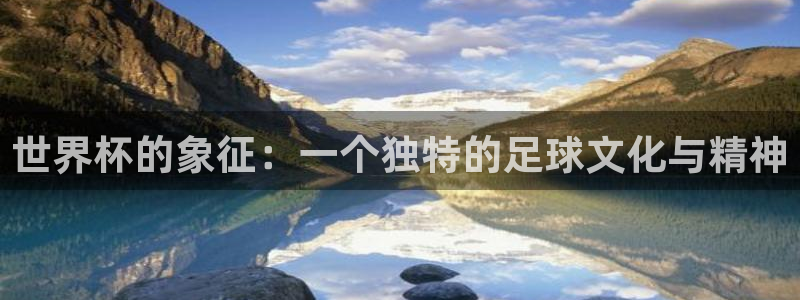 世界杯决赛预测：世界杯的象征：一个独特的足球文化与精神